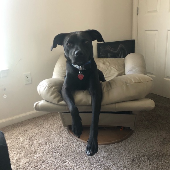 Meet your Posher, Laura - Picture 8 of 11